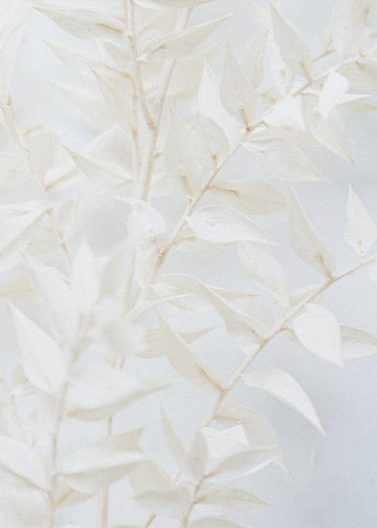 Ethereal Leaves | Canvas