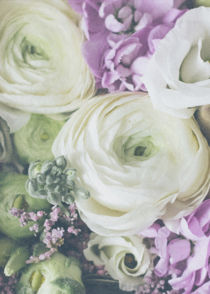 Petals of Elegance | Poster