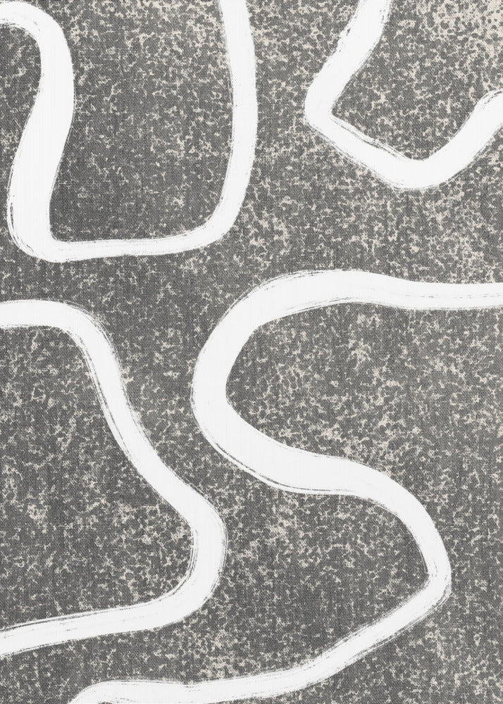 Curves in Contrast | Canvas