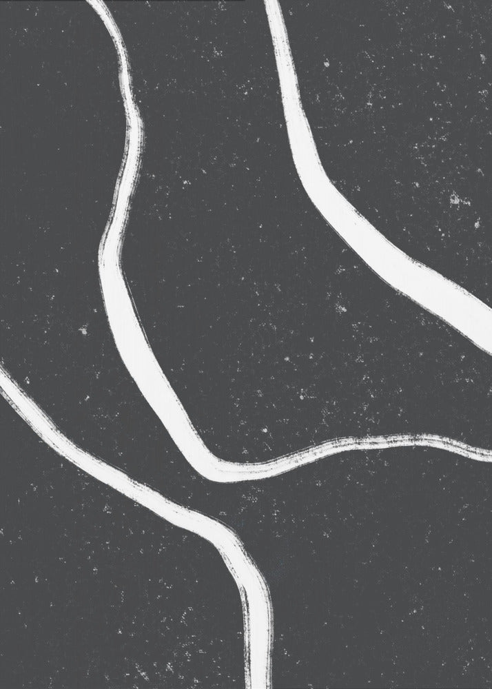 Monochrome Paths | Canvas