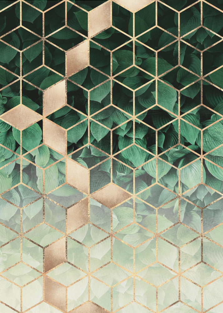 Leaves And Cubes | Canvas