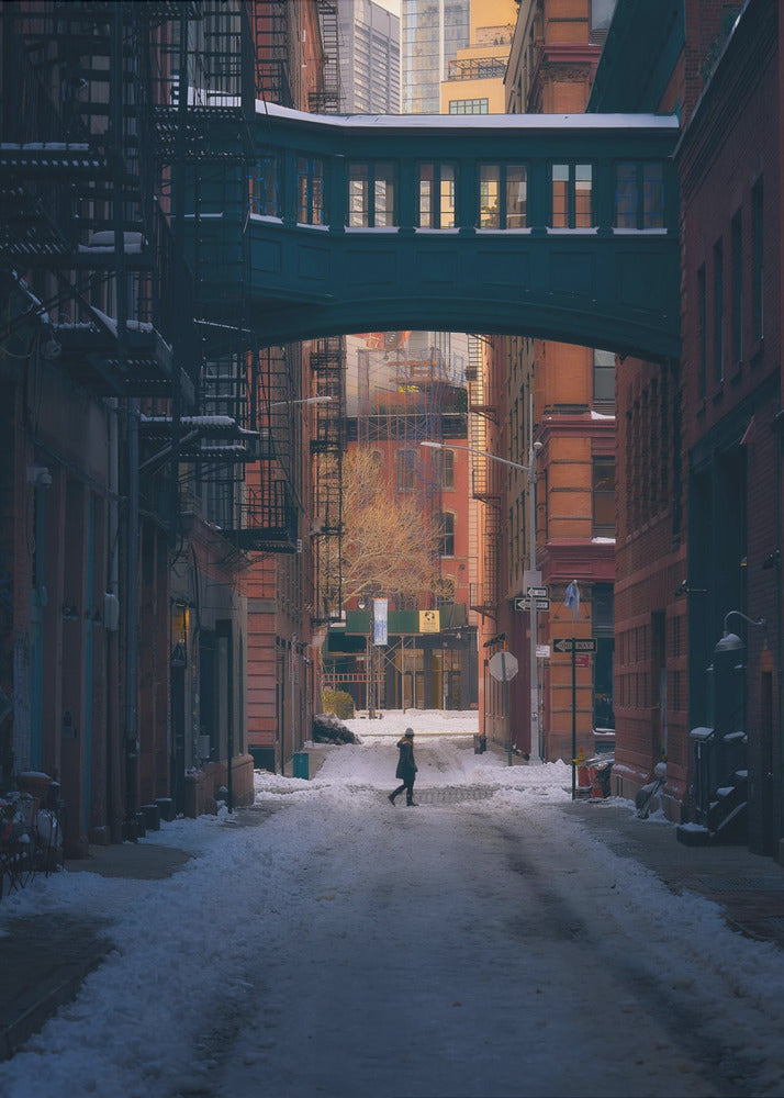 Under the Skybridge | Canvas