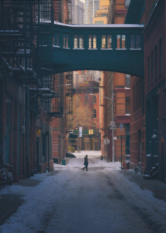 Under the Skybridge | Canvas