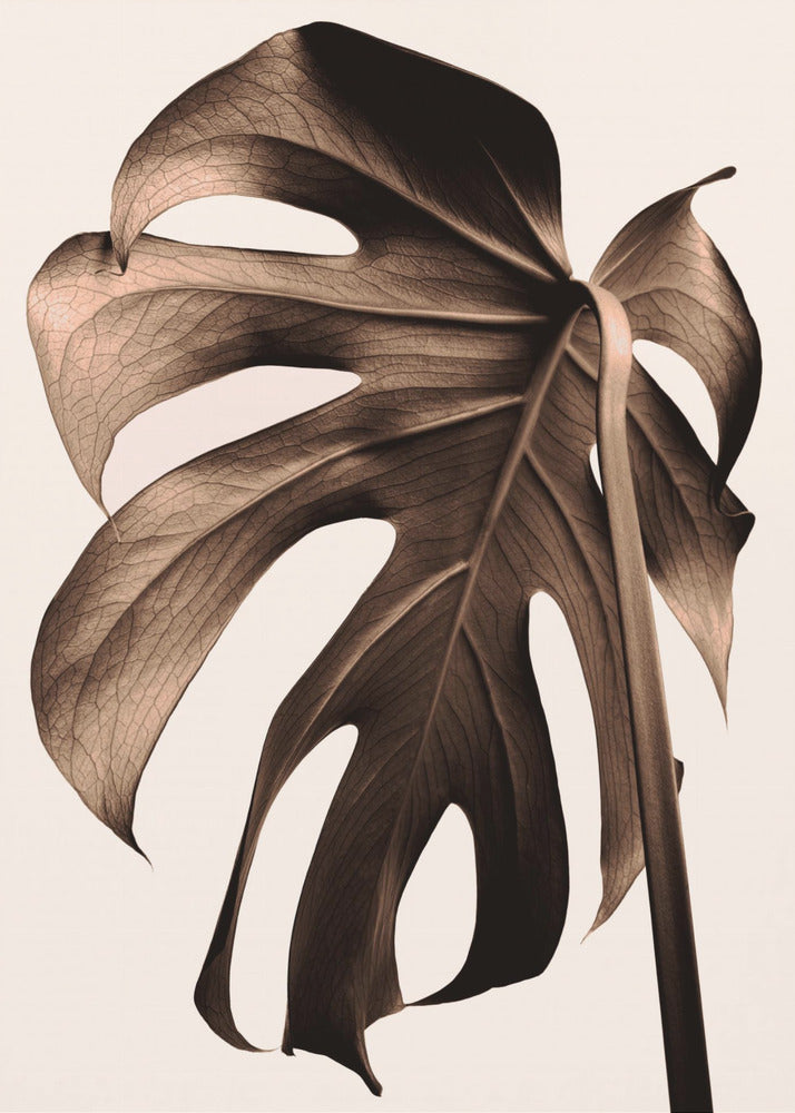 Monstera Gold | Poster