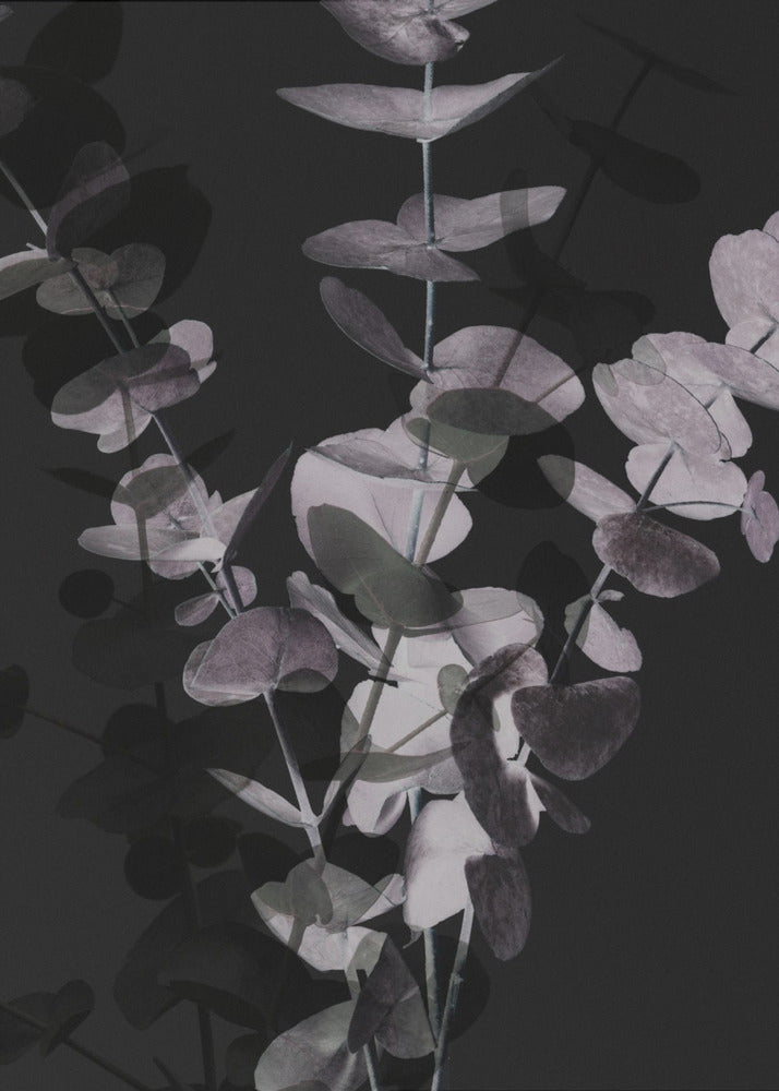 Eucalyptus_Negative_001 | Canvas