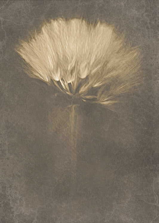 Mysterious Days | Canvas