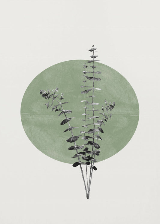 Nature&#039;s Echo | Canvas