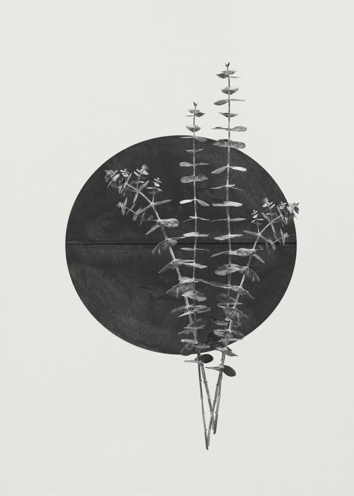 Eucalyptus Moon | Poster