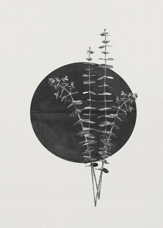 Eucalyptus Moon | Canvas