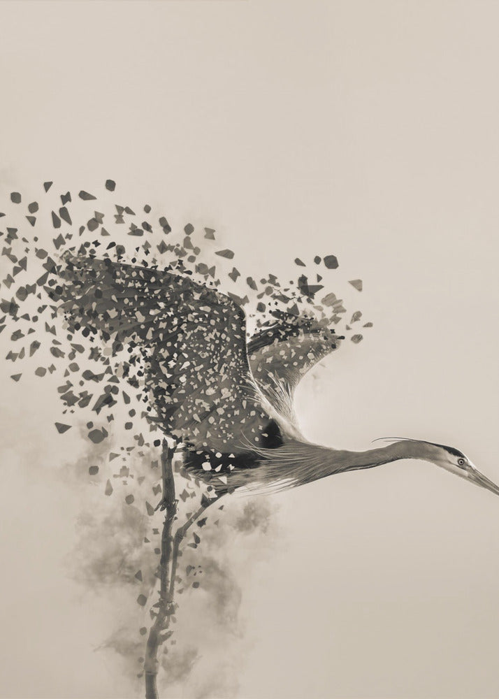 A Blue Heron | Canvas