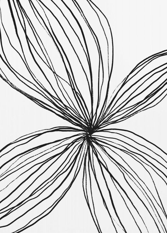 Flowing Petal Lines | Canvas