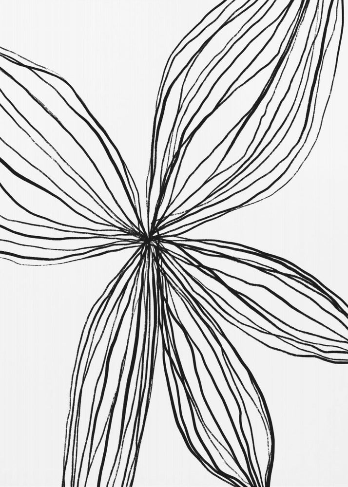 Elegant Petals | Canvas