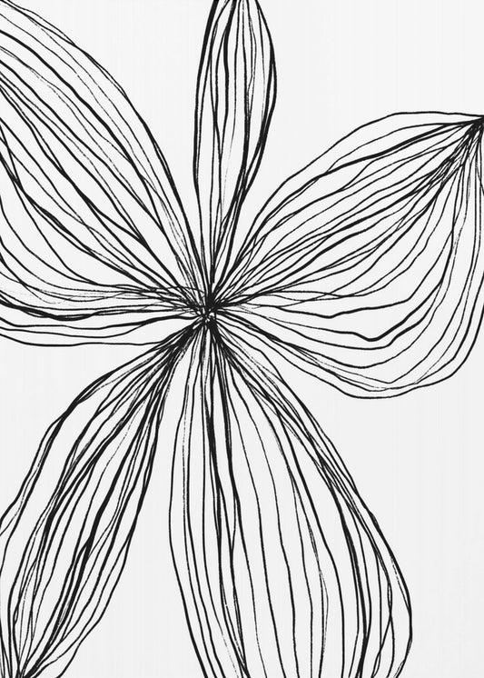 Minimalist Black and White Petals | Canvas