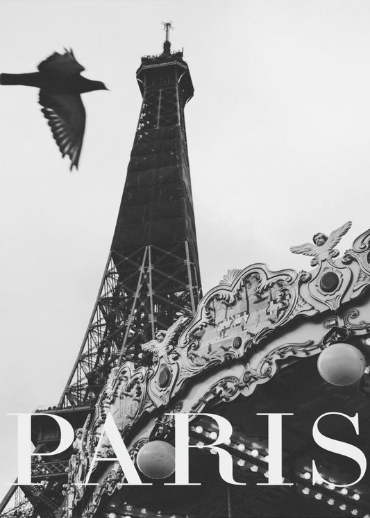 Paris Dove | Poster