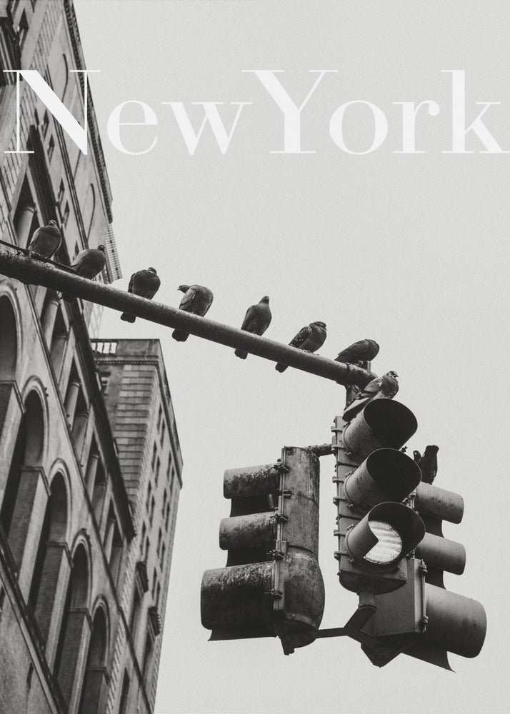 NYC Doves | Poster