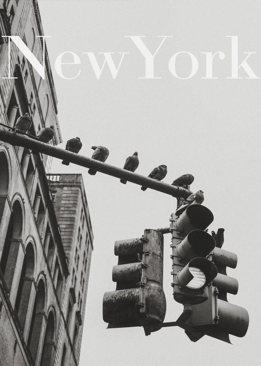 NYC Doves | Poster