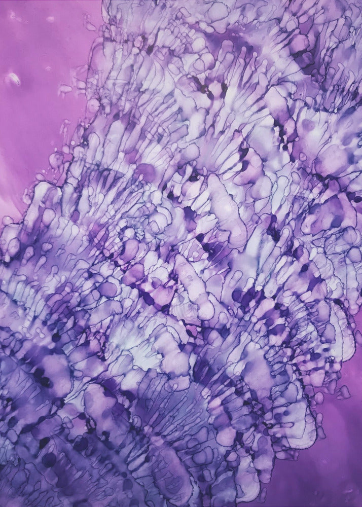 She Sells Sea Shells | Canvas