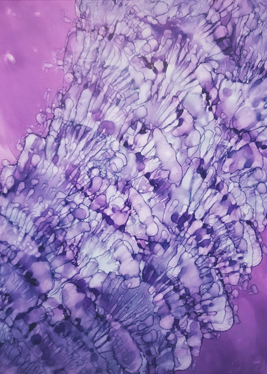 She Sells Sea Shells | Canvas