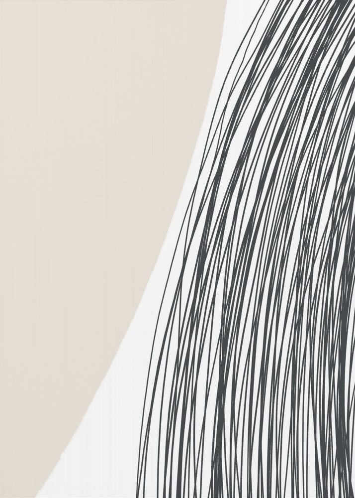 Curved Lines Harmony | Canvas