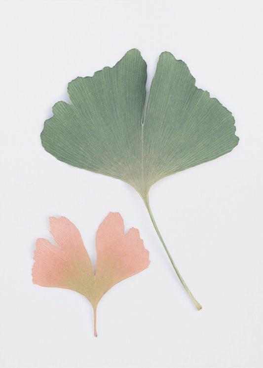 Pastel Ginkgo | Canvas