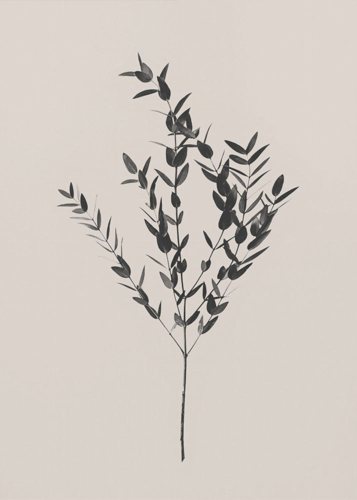 Inky Botanical | Poster