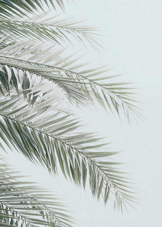Blue Palms | Poster