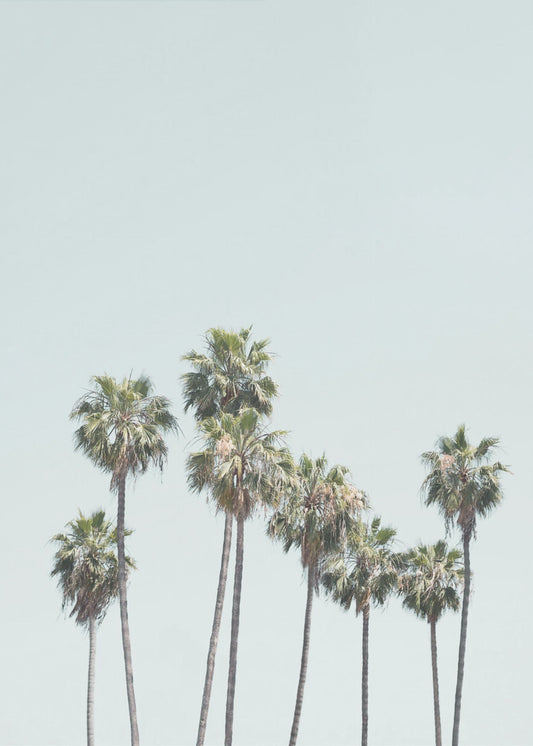 Blue Palm Trees | Poster