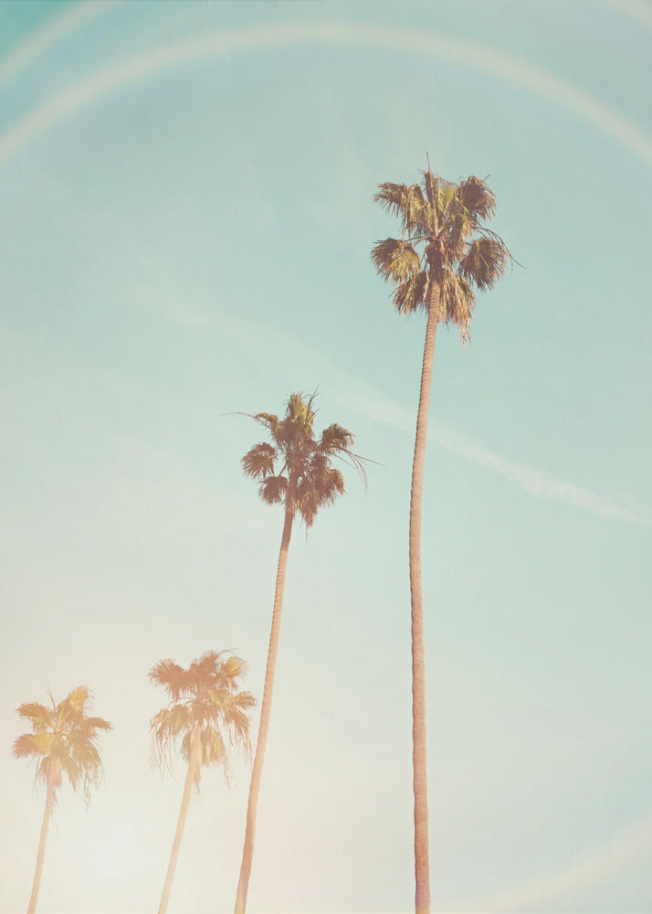Sunny Cali Palm Tree | Poster