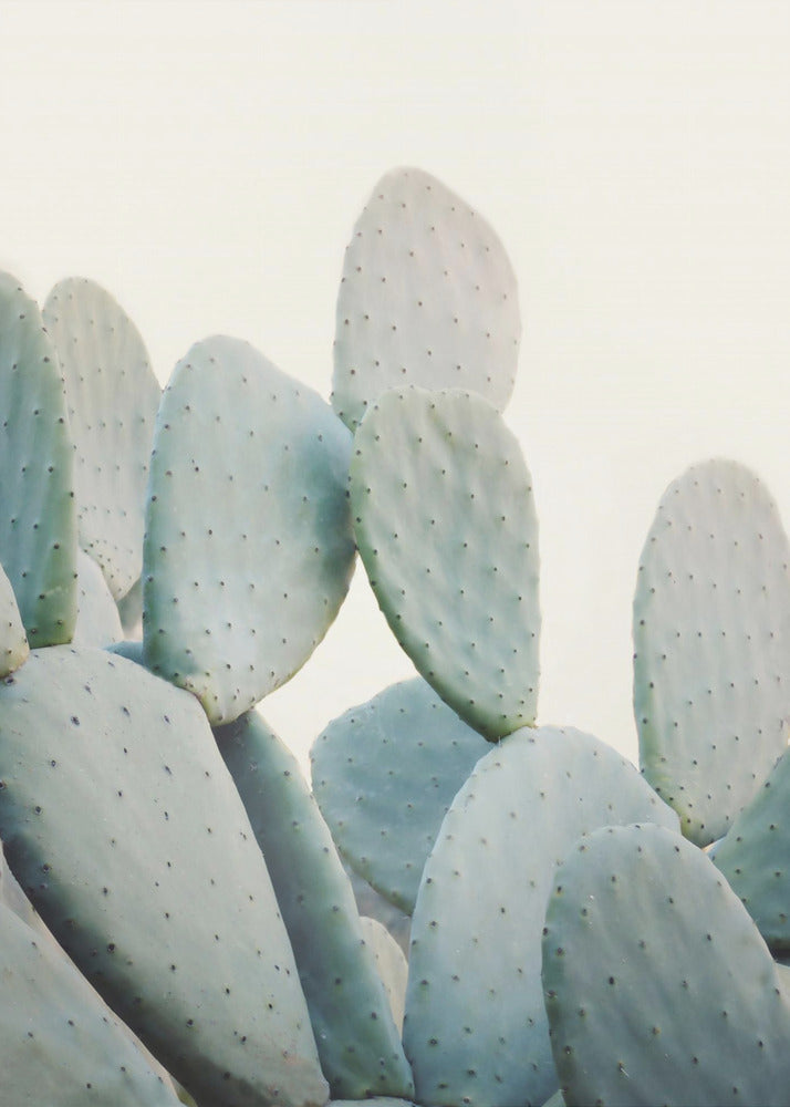 Pastel Cacti | Poster
