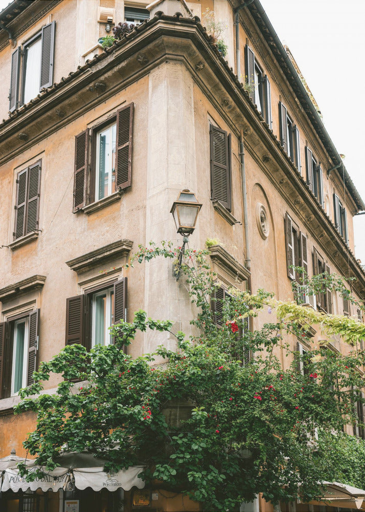 Botanical Trastevere Rome || | Poster