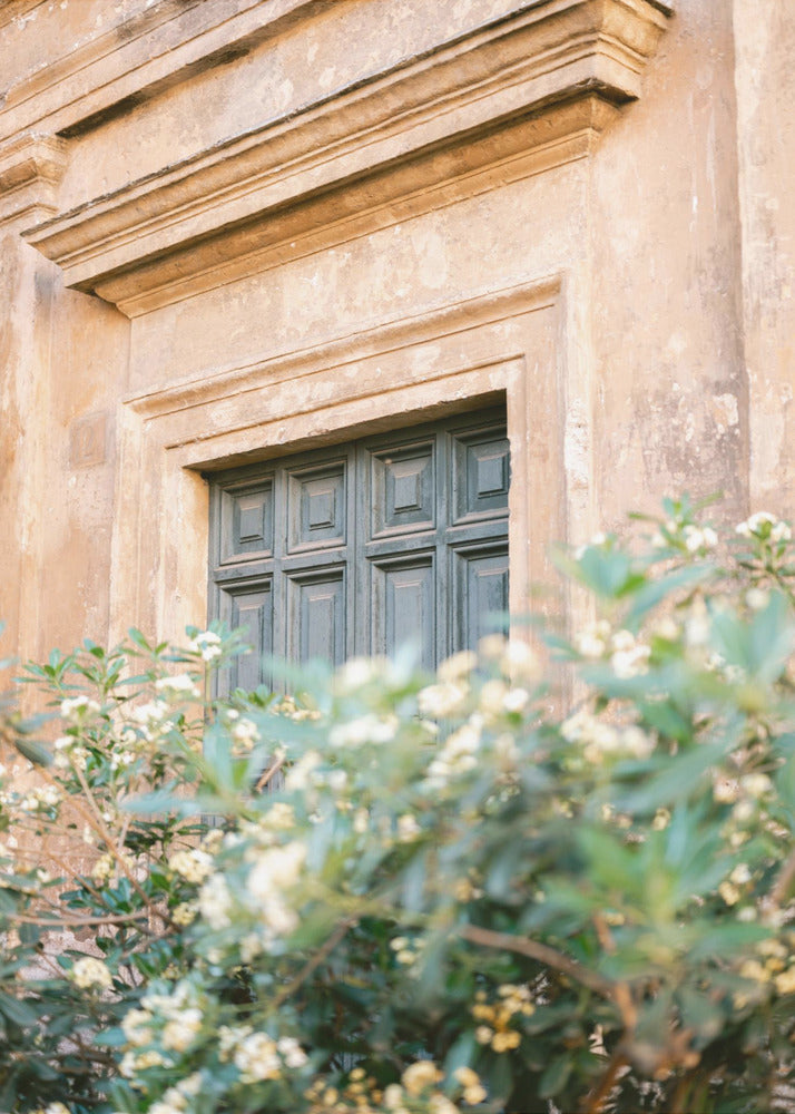 Botanical Trastevere Rome | Poster