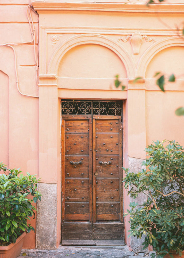 The Trastevere door || | Poster