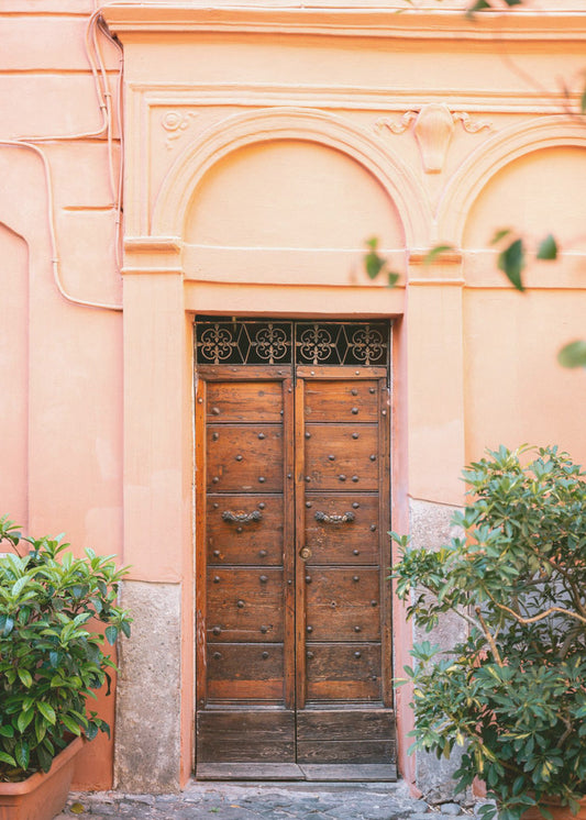 The Trastevere door || | Poster