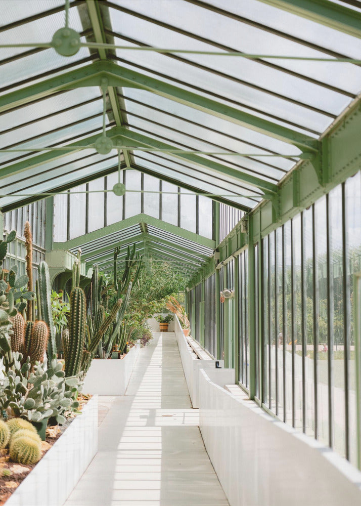 Botanical garden of Paris | Canvas