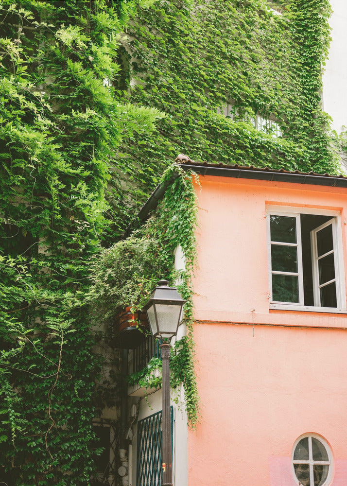 Green and Pink || Montmartre Paris | Canvas