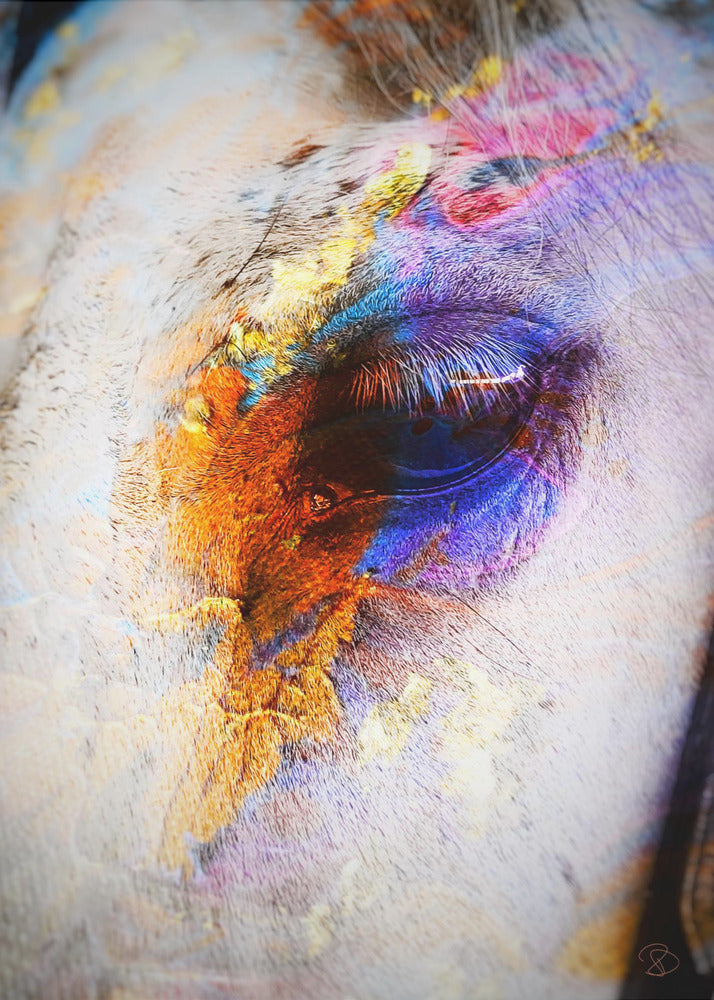 Painted Horse | Canvas
