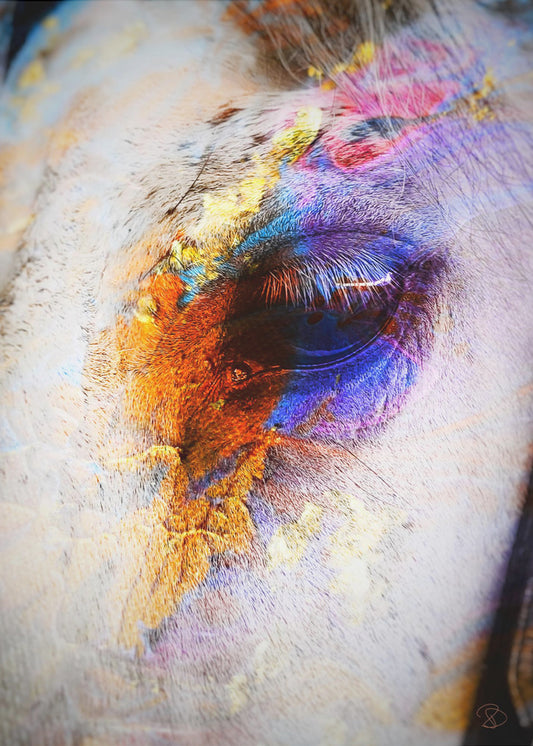 Painted Horse | Canvas