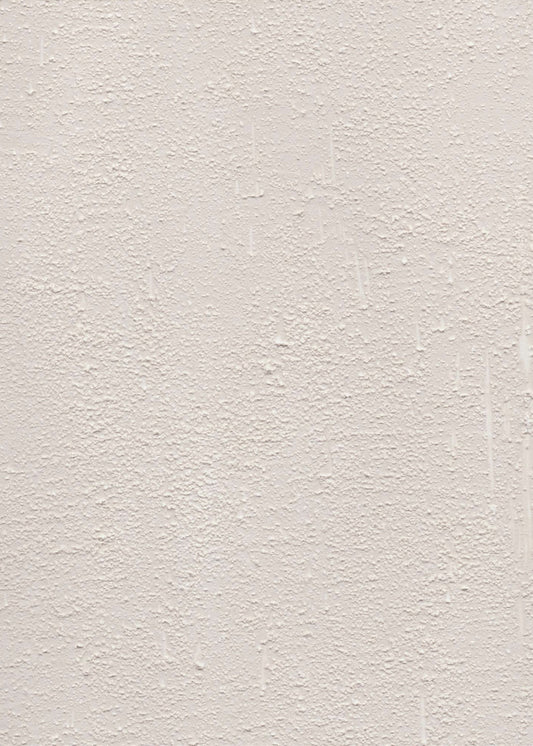 Beige Tone With Subtle Variations | Poster