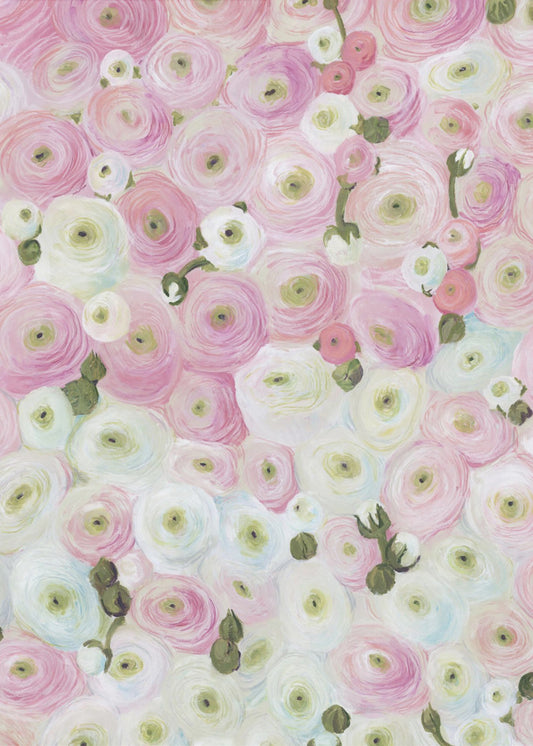 Gabry painterly ranunculus | Poster