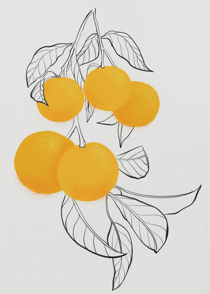 Mabel oranges | Canvas