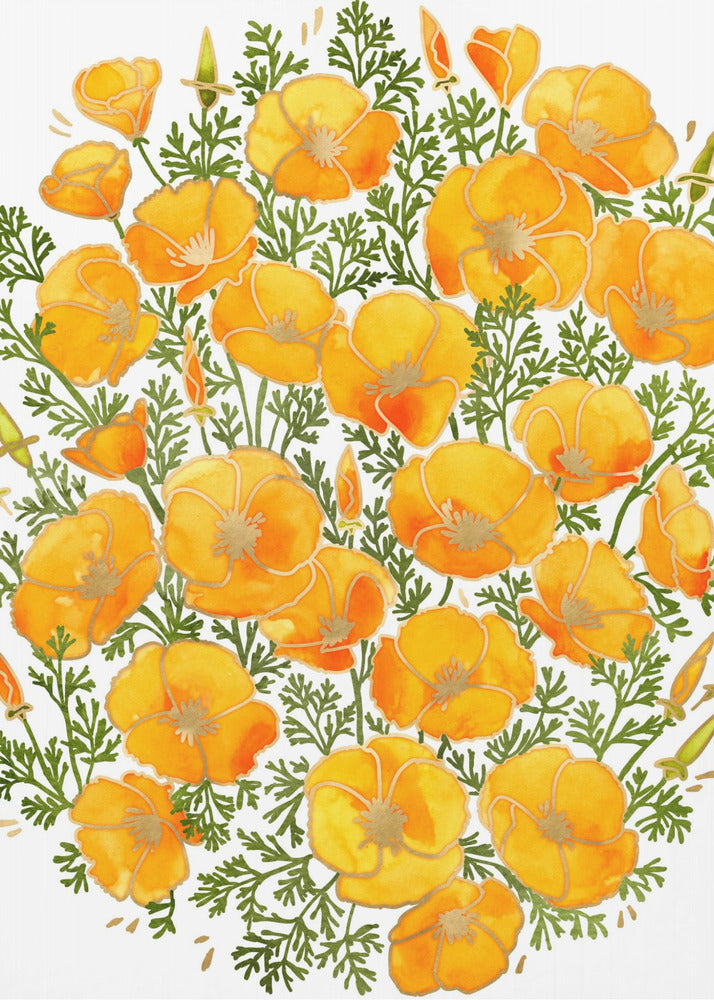 Gold accented California poppies | Poster