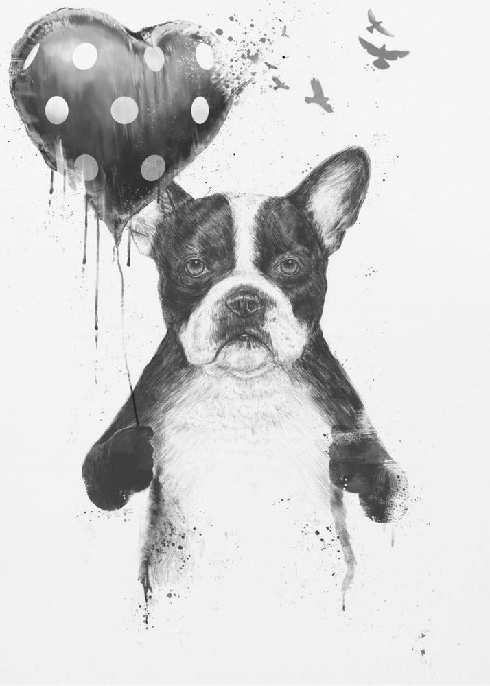 My heart goes boom | Canvas