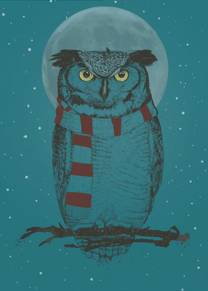 Winter owl | Canvas