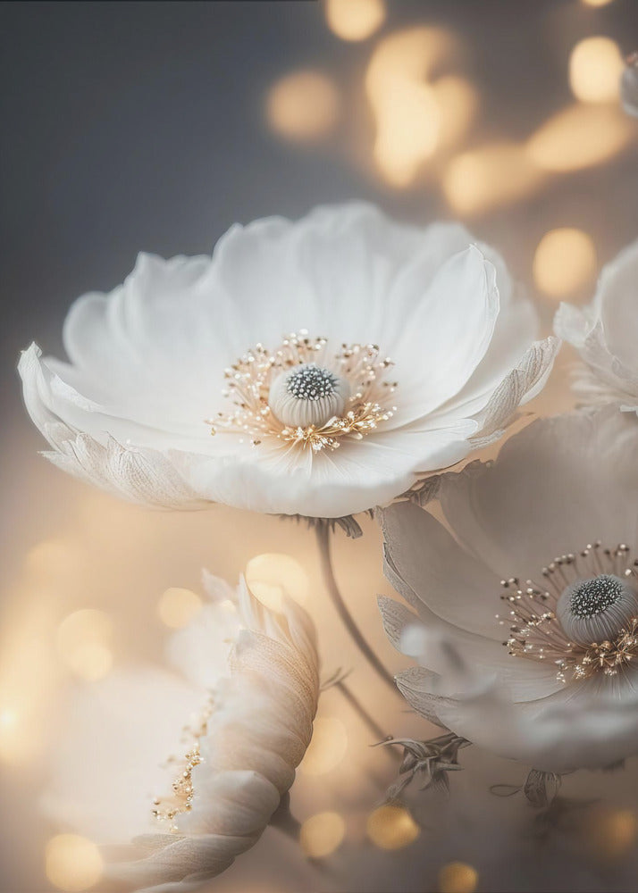 Petal Radiance | Poster