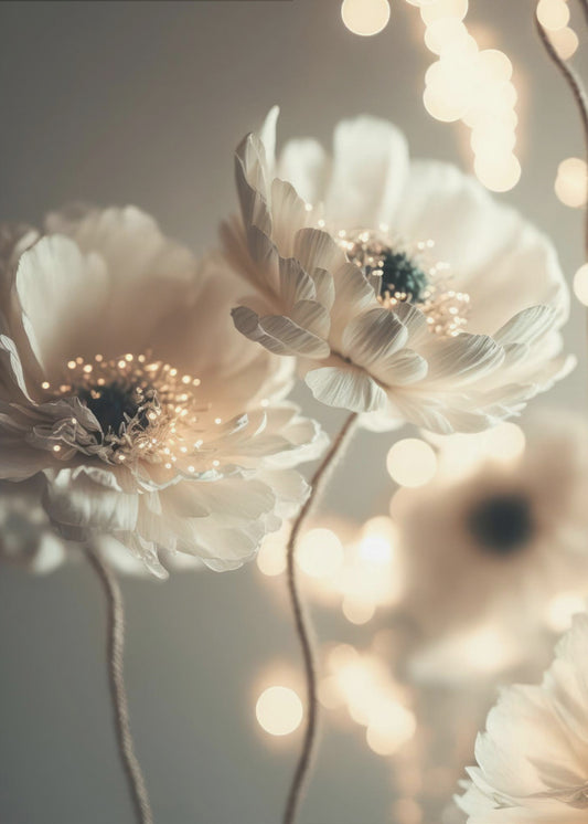 Petals and Glow | Canvas