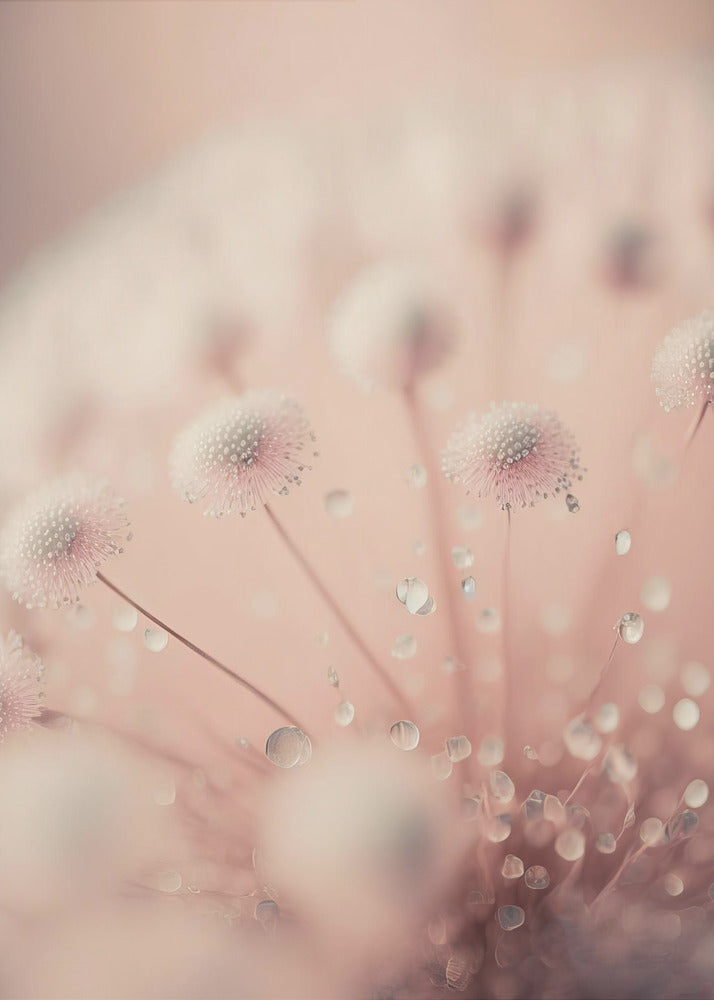 Dreamy Droplets | Canvas