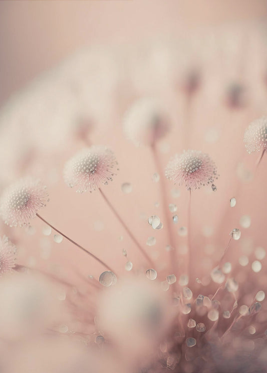 Dreamy Droplets | Canvas