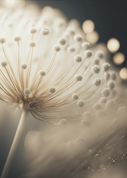 Whispering Seeds | Poster