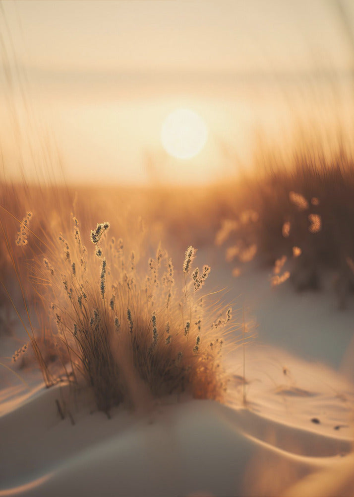 Golden Dune Whisper | Poster