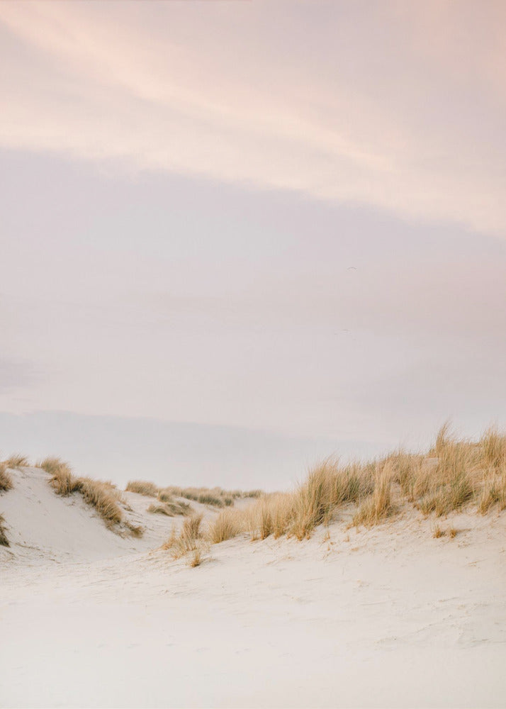 Ameland Dunes 3 | Poster